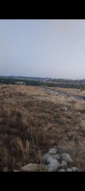 Residential Land for Sale in Ramallah and Al-Bireh Dayr Ibzi'