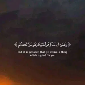 احہمد سرت