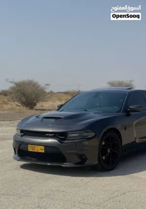 Used Dodge Charger in Buraimi