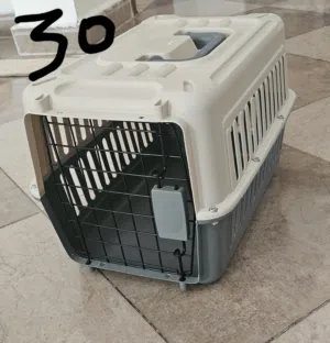 cat accessories
