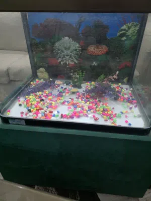 fish tank  good looking