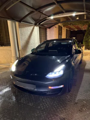Used Tesla Model 3 in Amman