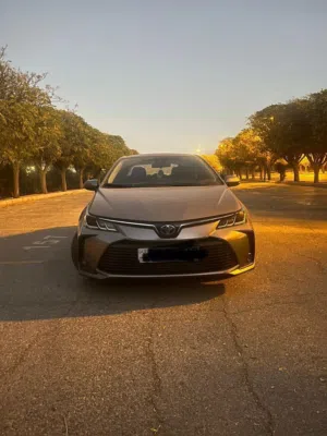 Used Toyota Corolla in Salt