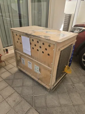 pet crate excellent condition