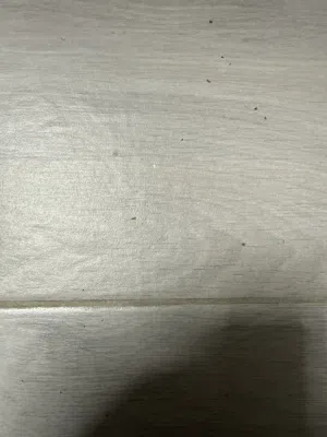 Residential Land for Sale in Ramallah and Al-Bireh Kaubar