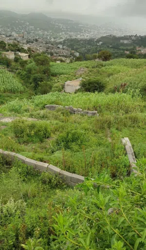 Mixed Use Land for Sale in Ibb Other