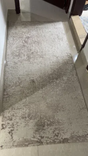 السجاد والبرادي بدون الطقم