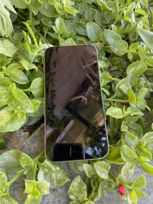 iPhone 13 Pro ماكس