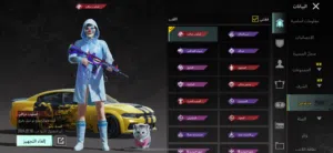 Pubg Accounts and Characters for Sale in Irbid
