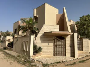 فيلة دورين مفصولات