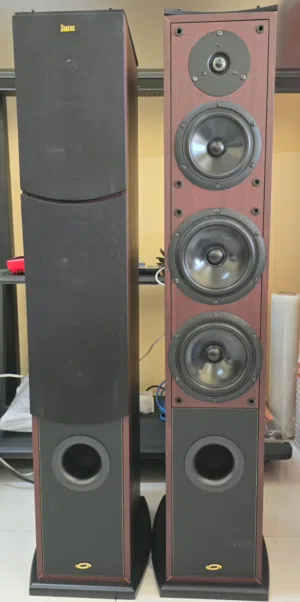 Floor Standing Tower Speakers
