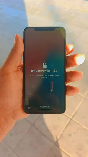 Apple iPhone XS Max 256 GB in Amman