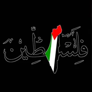 محمد خميس 