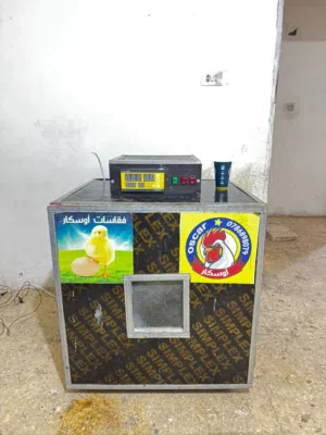 مطلوب فقاسه اوسكار سعه 176 بيضه بسعر طري