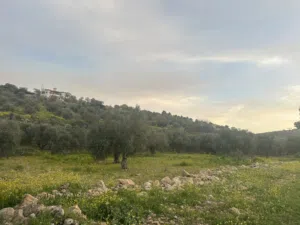 Mixed Use Land for Sale in Zarqa Al-Alouk