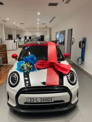 Used MINI Other in Baghdad