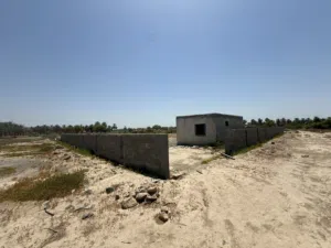 Farm Land for Sale in Al Batinah Al Masnaah