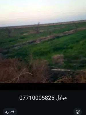 دونم طابو للبيع مساحه 2500  يسجل في الطابو  الواجه على النهر 32متر ماء  كهرباء