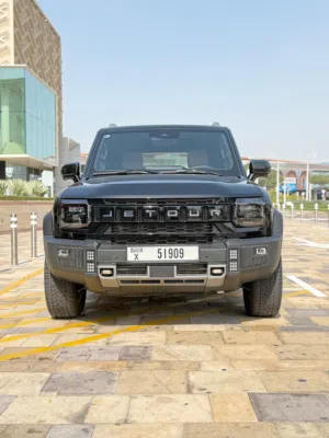2025 Jetour T2