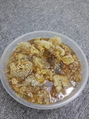 البيع عسل برم ابو طويق جبلي مضمون