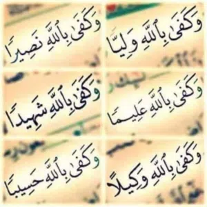 ابو محمد ابو مصطفى