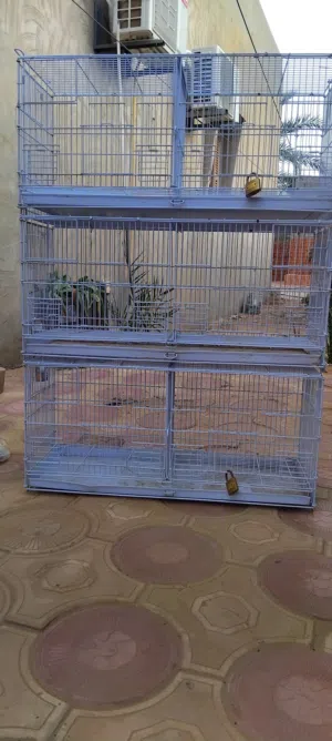 سلاكه عصافير للبيع