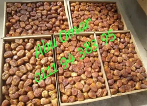 رطب ومفتل سكرى سعودى القصيم وماء زمزم المبارك