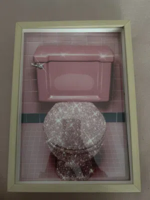 Pink Toilet frame