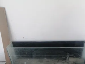حوذ سمك حلو وبجنن بس بدو تنضيف