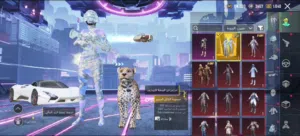 حساب ببجي للبيع بسعر مناسب