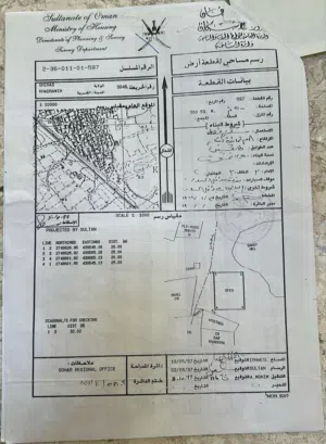 خضراوين سكني الفريق
