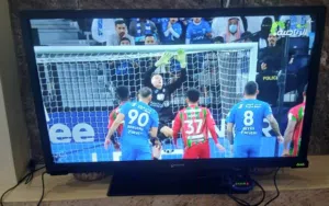 شاشه تلفزيون