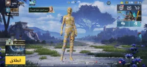 حساب ببجي للبيع (350)