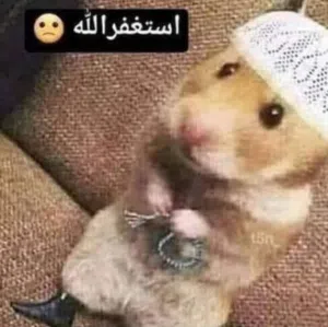 Yousif Ahmed Mohamed Mattar 