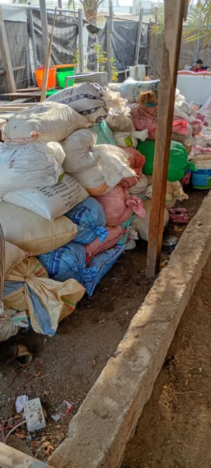 سماد بقر نظيف بس فيه شويه رمل بس مافيه كشره الي يريده يجي يشله