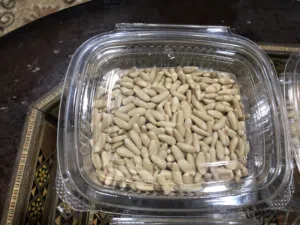 صنوبر بلدي