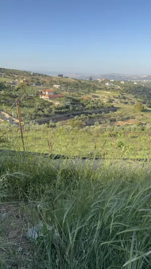 Farm Land for Sale in Salt Other