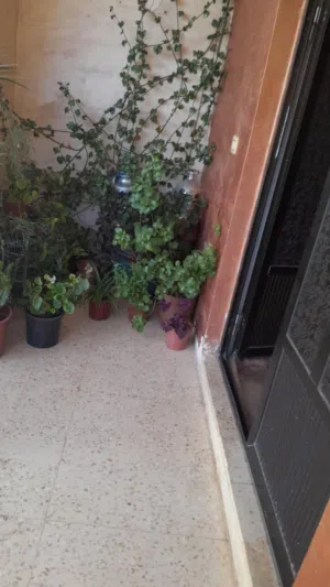  Building for Sale in Ajloun E'in Jana