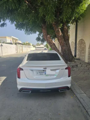 Used Cadillac CT5 in Sharjah