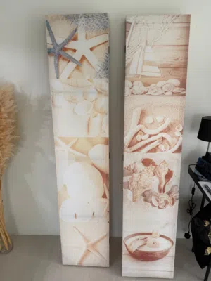 Paravan Beige Color