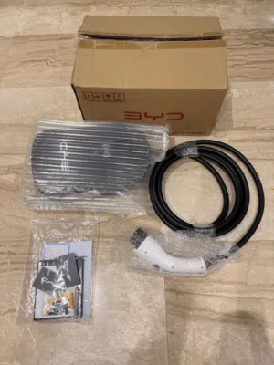 شاحن byd الاصلي بقدرة 32 أمبير ثابت مع كرتين تعريف