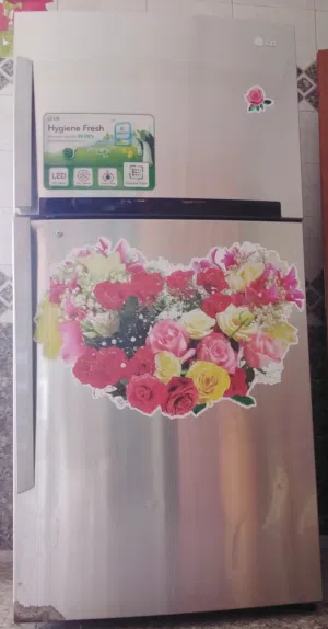 ثلاجة LG فريز BEKO