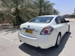 نيسان التيماء