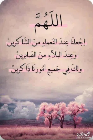 صلاح الدين حي الزهور