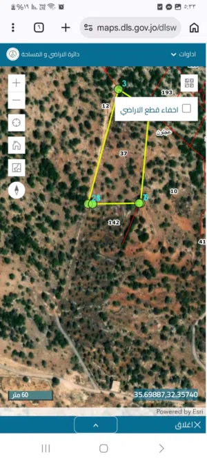 Farm Land for Sale in Ajloun Other