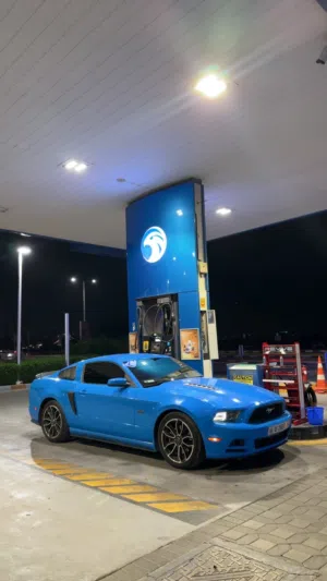 2013 mustang 5.0