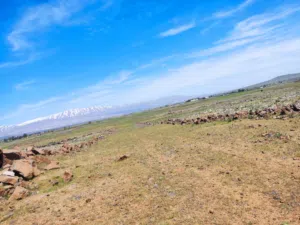 Farm Land for Sale in Rif Dimashq Other