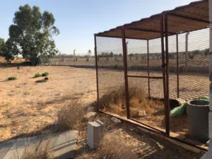 ربع هكتار للبيع عليه بيت عظم مسقوف تقريبا 100متر تقريبا