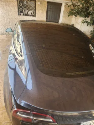 ,تسلا 3 لونج رينج دول ماتور