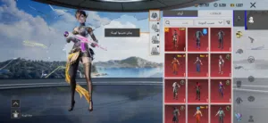 Pubg Accounts and Characters for Sale in Hawally